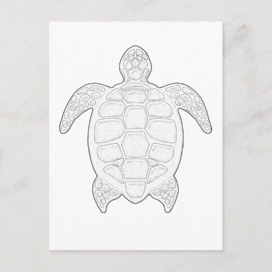 Seeschildkröte Postkarte (Vorderseite)