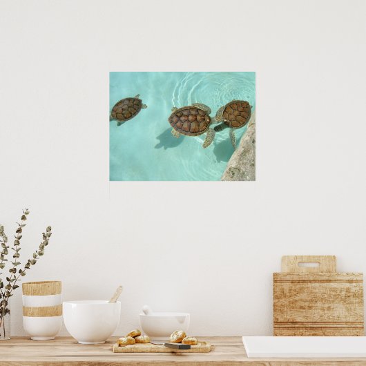 Seeschildkröten Poster (Küche)