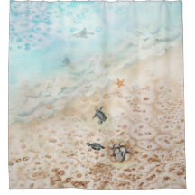 Seeschildkrötenfahrt