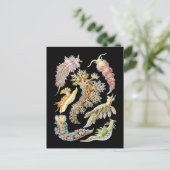 Seeschlacht Postkarte (Stehend Vorderseite)