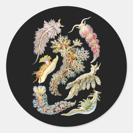 Seeschlacht Runder Aufkleber (Vorderseite)