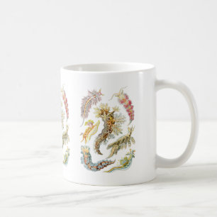 Seeschnecken Kaffeetasse