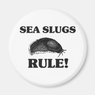 SEEschnecken Regel! Magnet