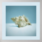 Seeschngel - Poster (Vorne)