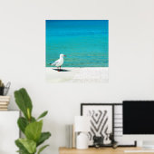 Seeschwalbe | Nutgrove Beach, Sandy Bay Tasmania Poster (Heimbüro)