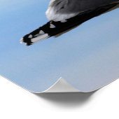 Seeschwalbe Poster (Ecke)