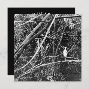 Seespeicher Einladung