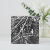 Seespeicher Einladung (Stehend Vorderseite)