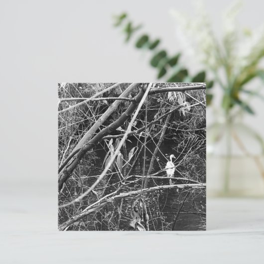 Seespeicher Einladung (Stehend Vorderseite)