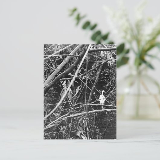 Seespeicher Postkarte (Stehend Vorderseite)