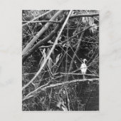 Seespeicher Postkarte (Vorderseite)