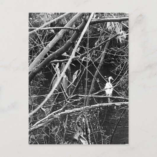 Seespeicher Postkarte (Vorderseite)