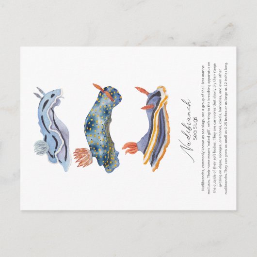 Seespeicher Postkarte (Vorderseite)