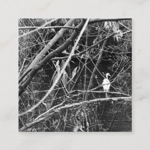 Seespeicher Quadratische Visitenkarte