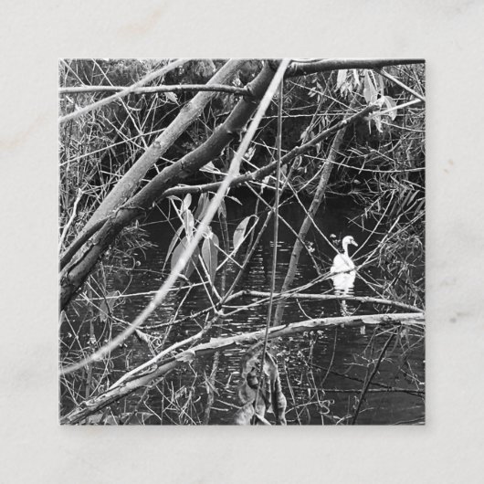 Seespeicher Quadratische Visitenkarte (Vorderseite)