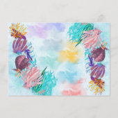 Seespinne Begleitkarte (Rückseite)