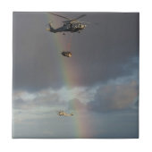 SeeStallion Fliese (Vorderseite)