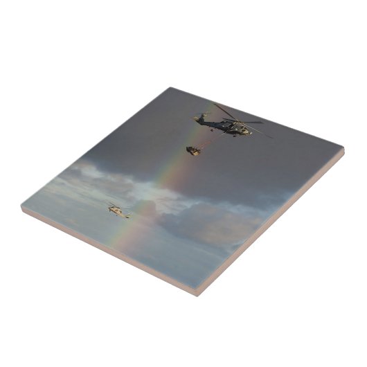 SeeStallion Fliese (Seite)