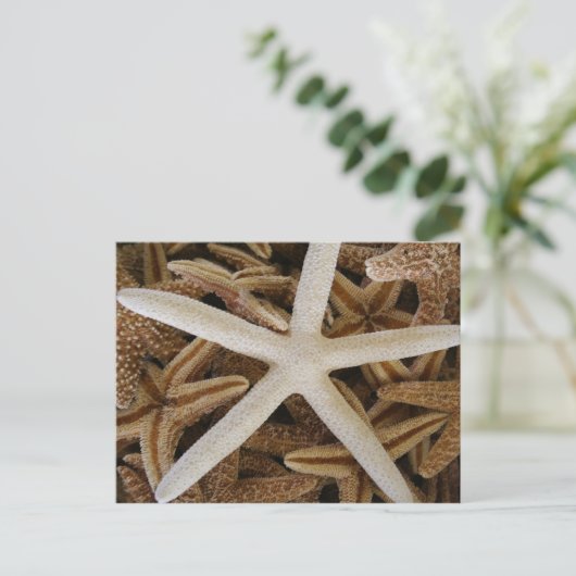 Seestars Postkarte (Stehend Vorderseite)