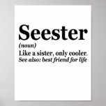 Seester Noun Definition Best Sister Funny Gift Poster<br><div class="desc">sister, seester, definition, family, bigsis, gift, birthday, funny, sarcastic, gift</div>