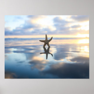Seestern am Strand Foto Poster Druck