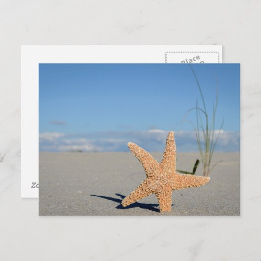 Seestern am Strand Postkarte (Vorne/Hinten)