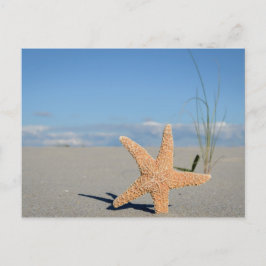 Seestern am Strand Postkarte
