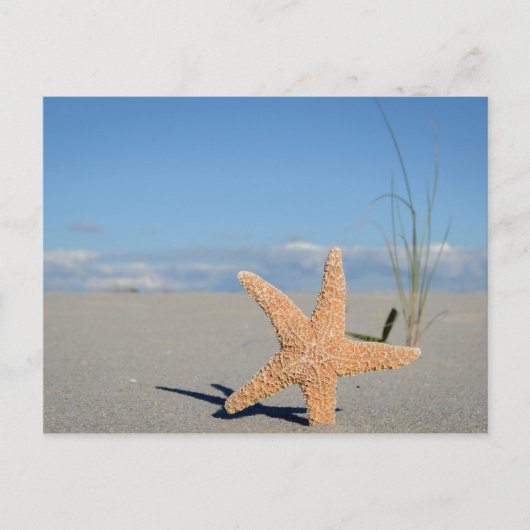 Seestern am Strand Postkarte (Vorderseite)