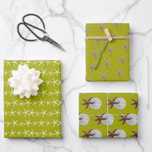 Seestern Chartreuse Grün für jeden Anlass Geschenkpapier Set