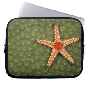 Seestern Laptopschutzhülle