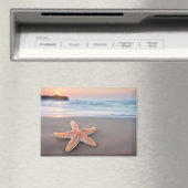 Seestern liegt an einem Strand Magnet (In Situ (Geschirrspüler))
