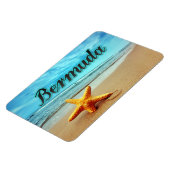 Seestern Magnet (Linke Seite)