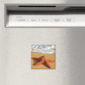Seestern-Magnet Magnet (In Situ (Geschirrspüler))
