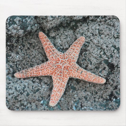 Seestern-Mauspad Mousepad (Vorne)