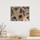 Seestern überall poster (Küche)