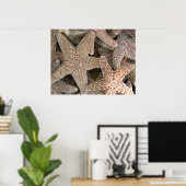 Seestern überall poster (Heimbüro)