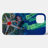 Seestern und Tunikat Case-Mate iPhone Hülle (Rückseite (Horizontal))