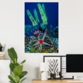 Seestern und Tunikat Poster (Heimbüro)