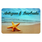 Seestern von Antigua und Barbuda Magnet (Horizontal)