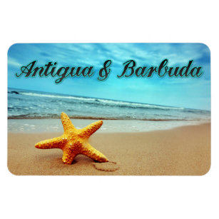 Seestern von Antigua und Barbuda Magnet
