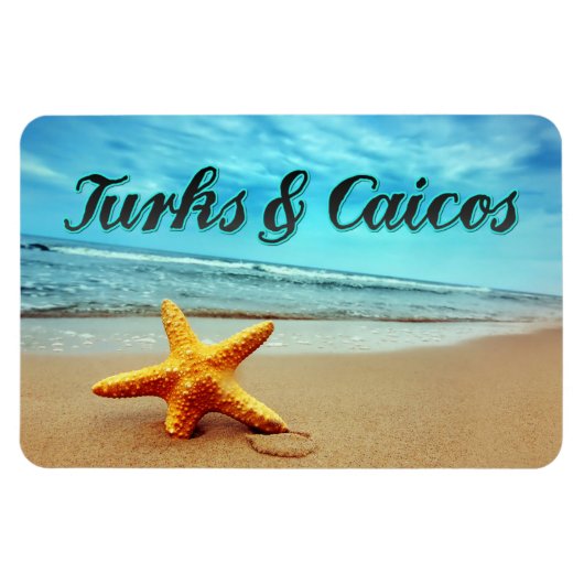 Seesterne aus Turks und Caicos Magnet (Horizontal)