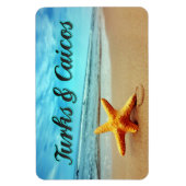 Seesterne aus Turks und Caicos Magnet (Vertikal)
