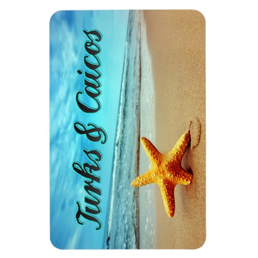 Seesterne aus Turks und Caicos Magnet (Vertikal)