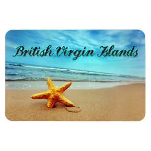 Seesterne der britischen Jungfrau Magnet