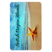 Seesterne der britischen Jungfrau Magnet (Vertikal)