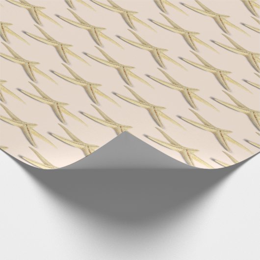 Seesterne Geschenkpapier (Ecke)