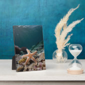 Seesterne in der Tiefsee Fotoplatte (Seite)