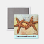 Seesterne, Little Egg Harbour, NJ-Magnet Magnet (Vorderseite/Rückseite)