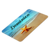 Seesterne Magnet (Linke Seite)