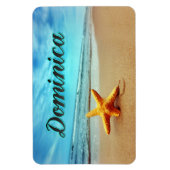 Seesterne Magnet (Vertikal)